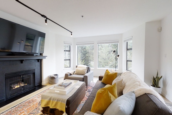 Älytelevisio, takka, kirjoja, stereot