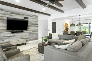 TV, fireplace, books