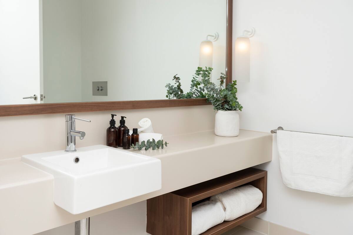 hair dryer, towels, soap, shampoo