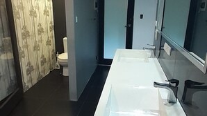 A modern bathroom with a large mirror, a white sink, and a toilet. - Luxury Designer home on Beautiful Macleay Island, just 1 hour from Brisbane! (MacLeay Island)