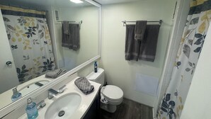 A bathroom with a white sink, a mirror, a toilet, and a shower curtain with a leaf pattern.