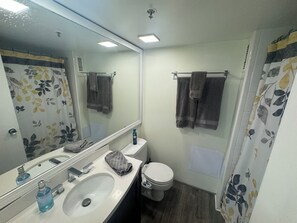 Combined shower/tub, hair dryer, bidet, towels