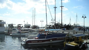 A marina with several boats docked, including a speedboat named 'Odyssey' and a sailboat named 'Cydane'.