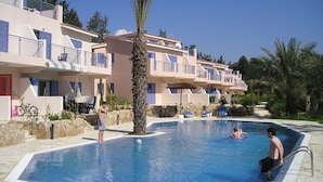 A swimming pool surrounded by a stone wall, with a palm tree in the center.