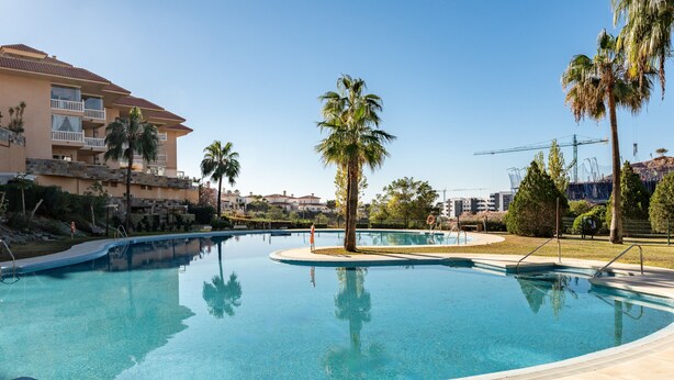 Une piscine au design incurvé, entourée de palmiers et bordée d’un bâtiment doté de balcons.