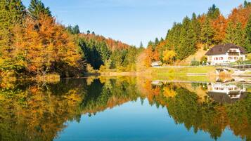 A house by a calm lake with reflections of trees and a clear sky.