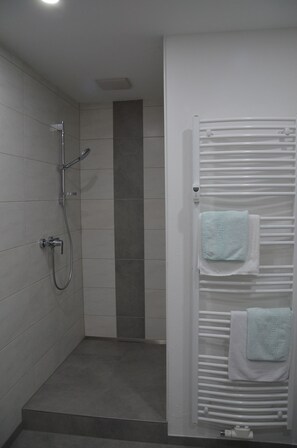 Shower, hair dryer, towels, toilet paper