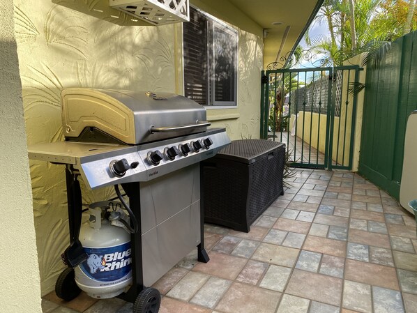 An outdoor barbecue grill with a propane tank, a window, and a green gate in the background.