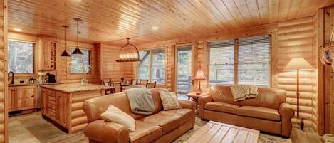 Télévision, cheminée, espaces bureaux