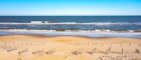 بالقرب من الشاطئ