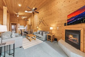 TV, fireplace, DVD player