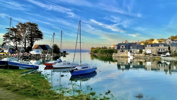 Een rustige haven met verschillende boten afgemeerd, een grasachtige oever en een rij huizen onder een heldere lucht.
