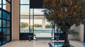 Un interior moderno con ventanas amplias, un banco central y un árbol en maceta.