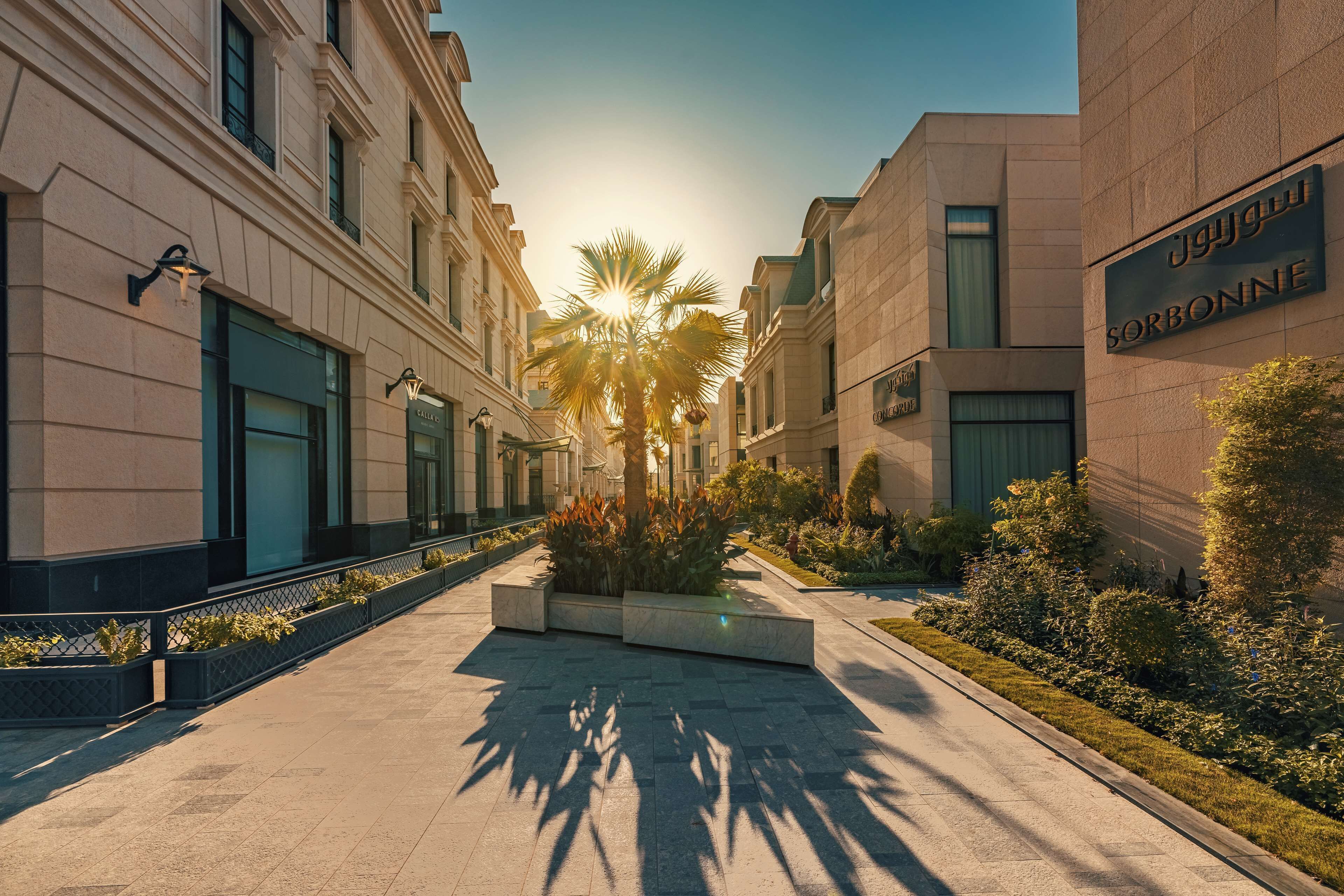 A modern urban street with buildings, a palm tree, and a sign reading "Sorbonne".