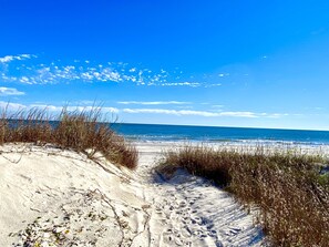 A sandy beach with footprints leading to the water, surrounded by vegetation.