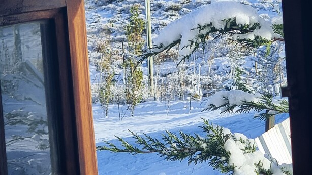 Vista desde una ventana: paisaje nevado con árboles cubiertos de nieve y cielo despejado.