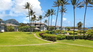 Property grounds - Poipu Sands At Poipu Kai #215 By Parrish Kauai - great honeymoon location & walk (Koloa)
