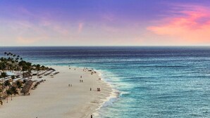 Ein Strand mit einer Reihe von Palmen und Sonnenschirmen, ein sandiger Uferbereich und der Ozean.