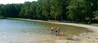 Luxurious and cozy house in National Park the Hoge Kempen, near Maastricht