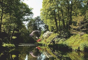 Un paysage paisible au bord de la rivière, avec une végétation luxuriante et des arbres qui se reflètent dans l’eau.