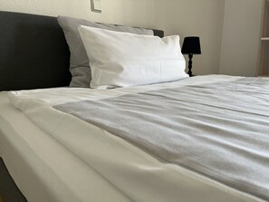 Economy Studio (French Bed 1,40 m x 2 m) | Laptop workspace, iron/ironing board, free WiFi, bed sheets - NorthApartments Chemnitz (Chemnitz)