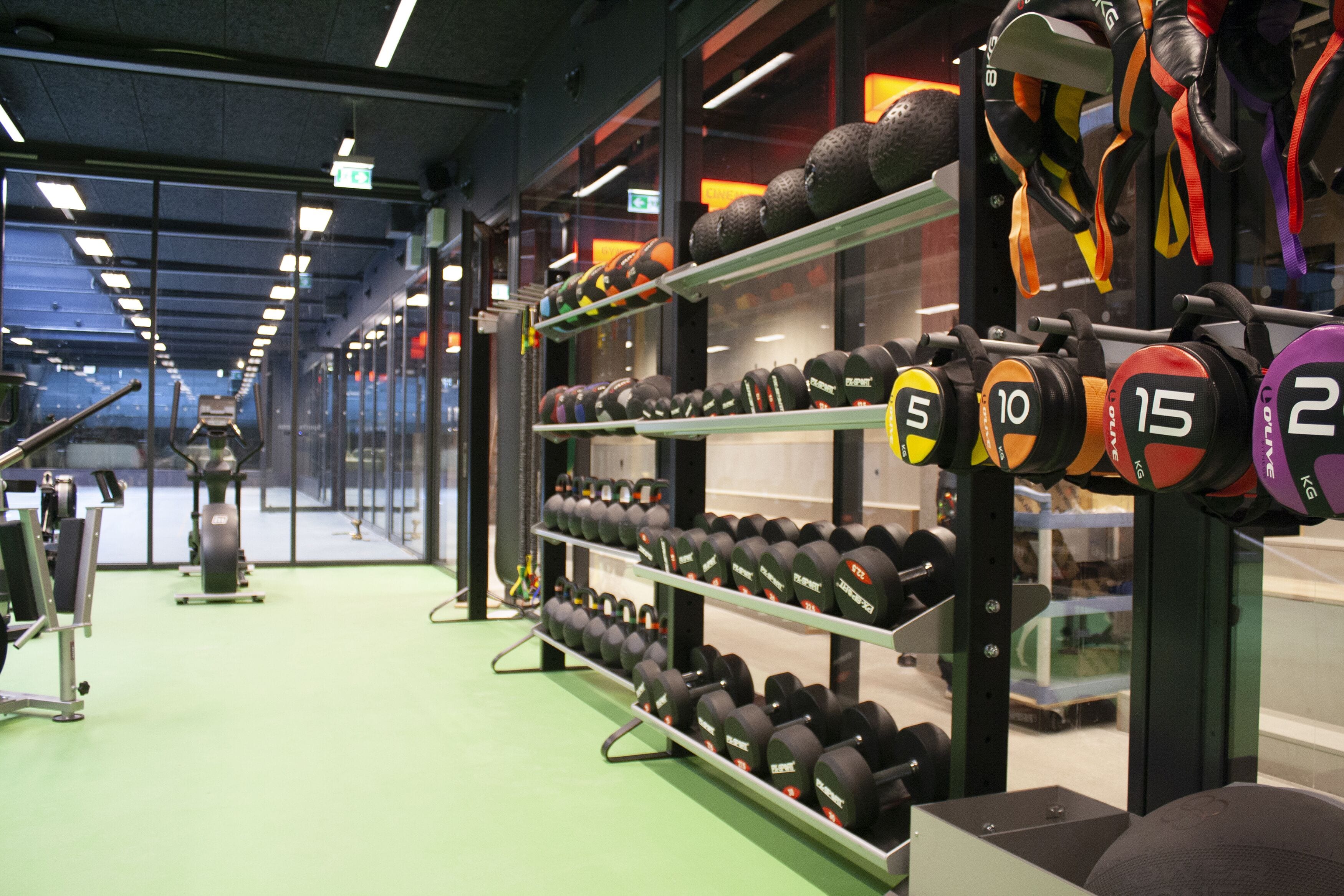 Ett gym med utrustning för styrketräning, inklusive hantlar och viktplattor, samt träningsmaskiner.
