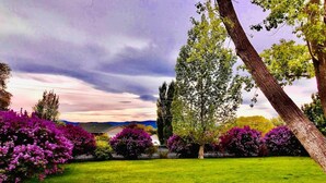 Une pelouse verdoyante parsemée de fleurs violettes et bordée d’arbres.