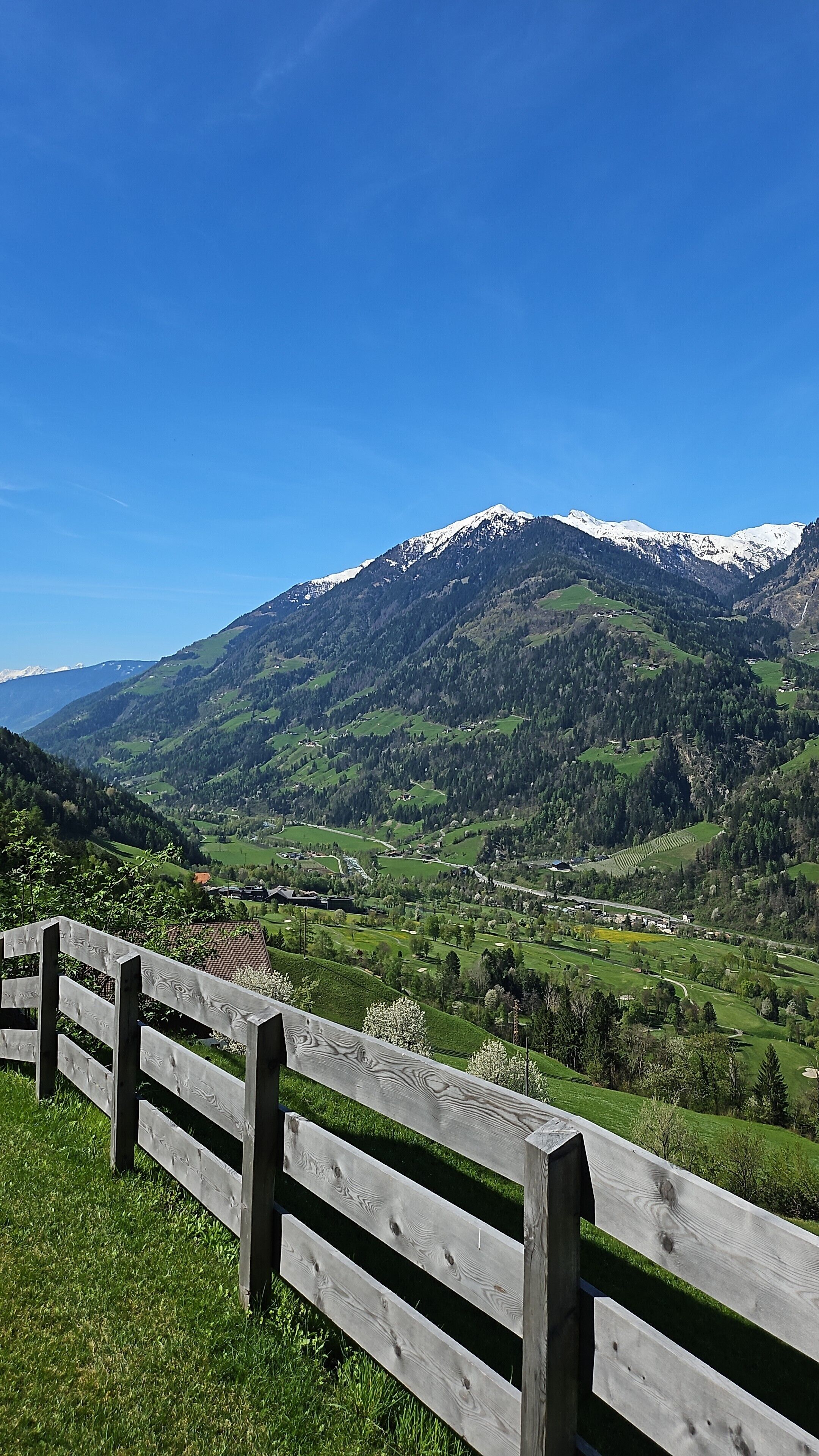 A wooden fence, a valley, and snow-capped mountains under a clear blue sky.