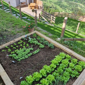 Áreas de la propiedad