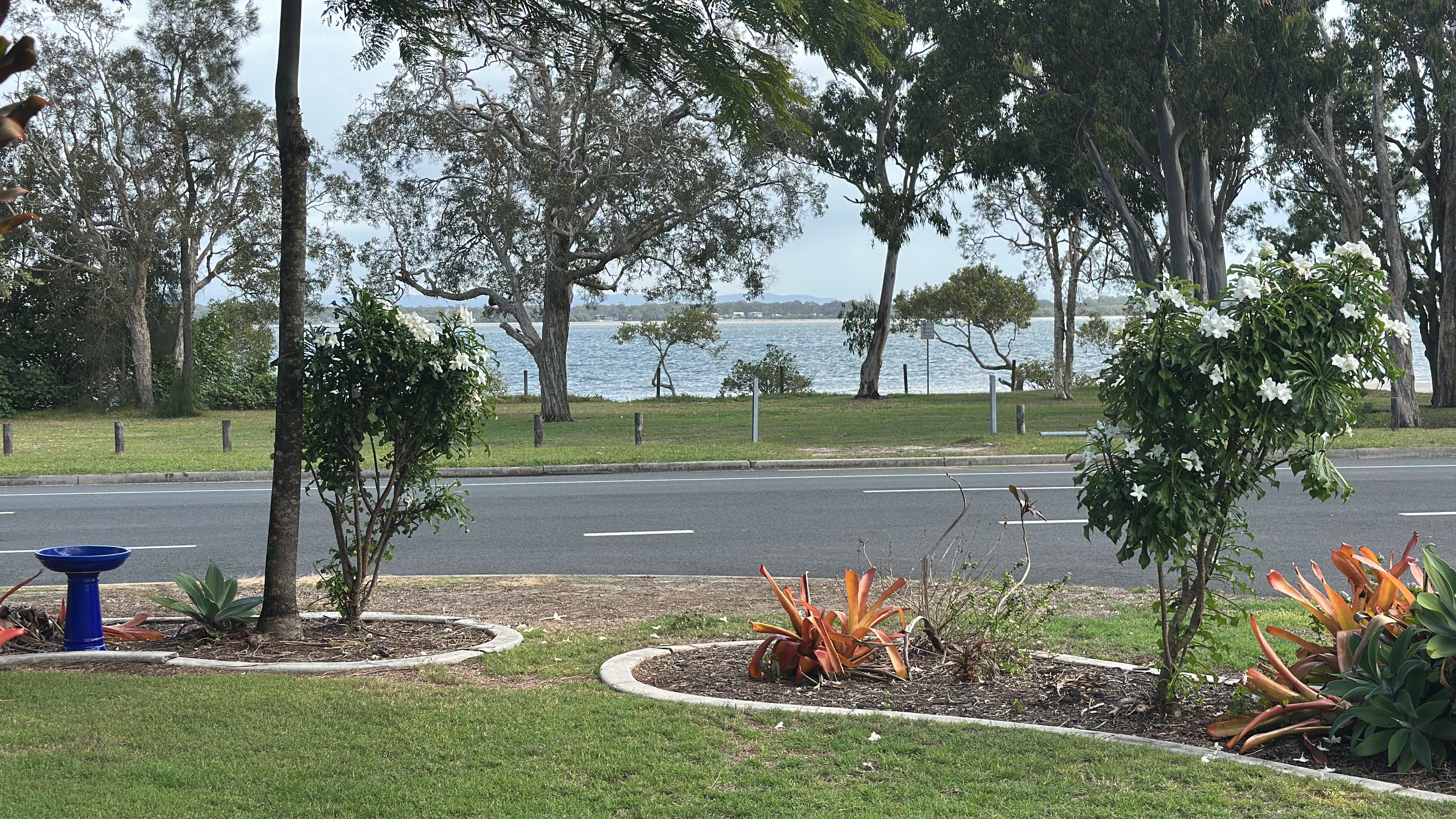 A park with trees, a road, and a body of water in the background.