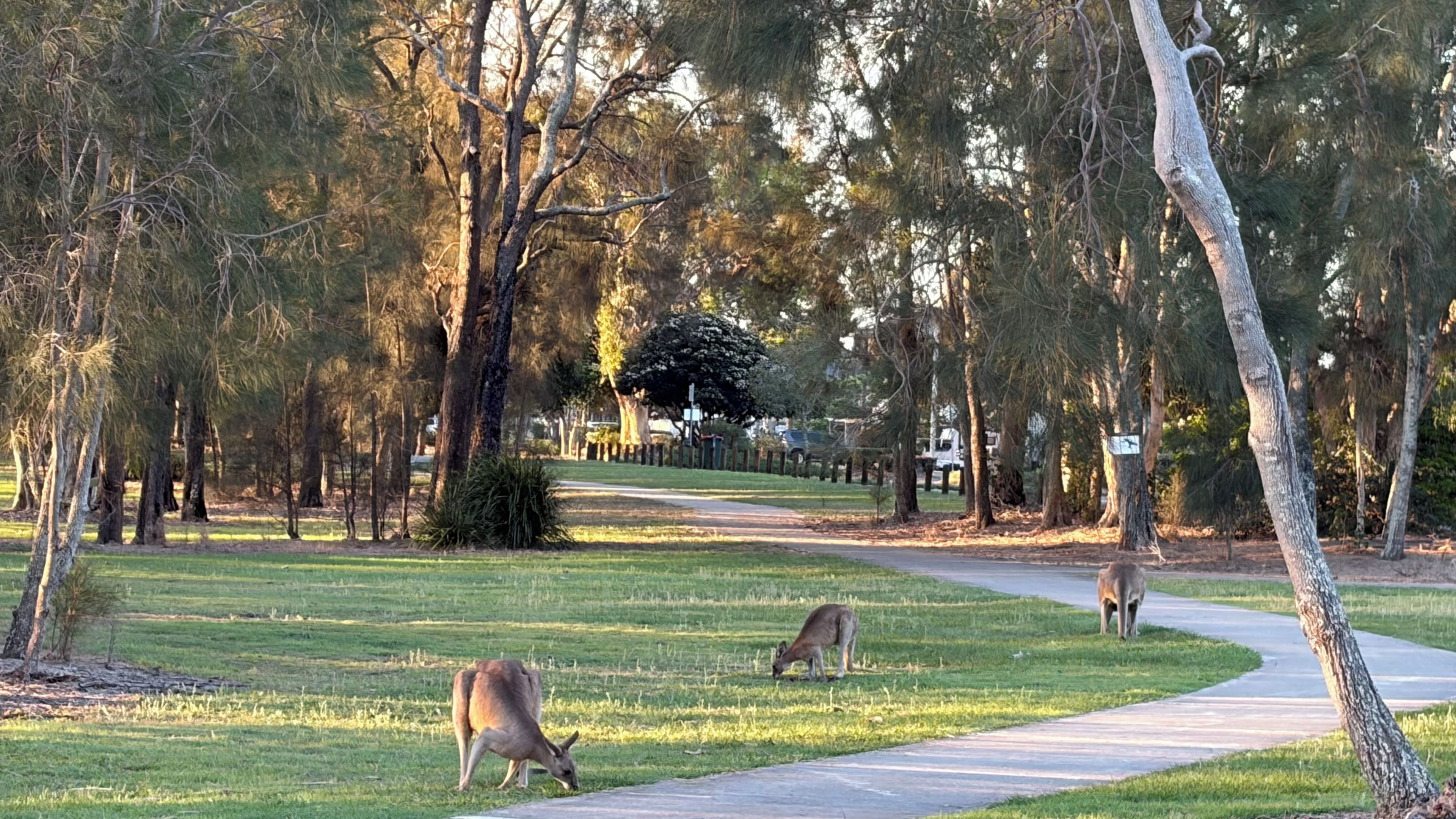 A park with a paved path, grassy areas, and trees.