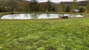 Un paysage paisible avec un étang, un champ verdoyant et une petite maison en arrière-plan.