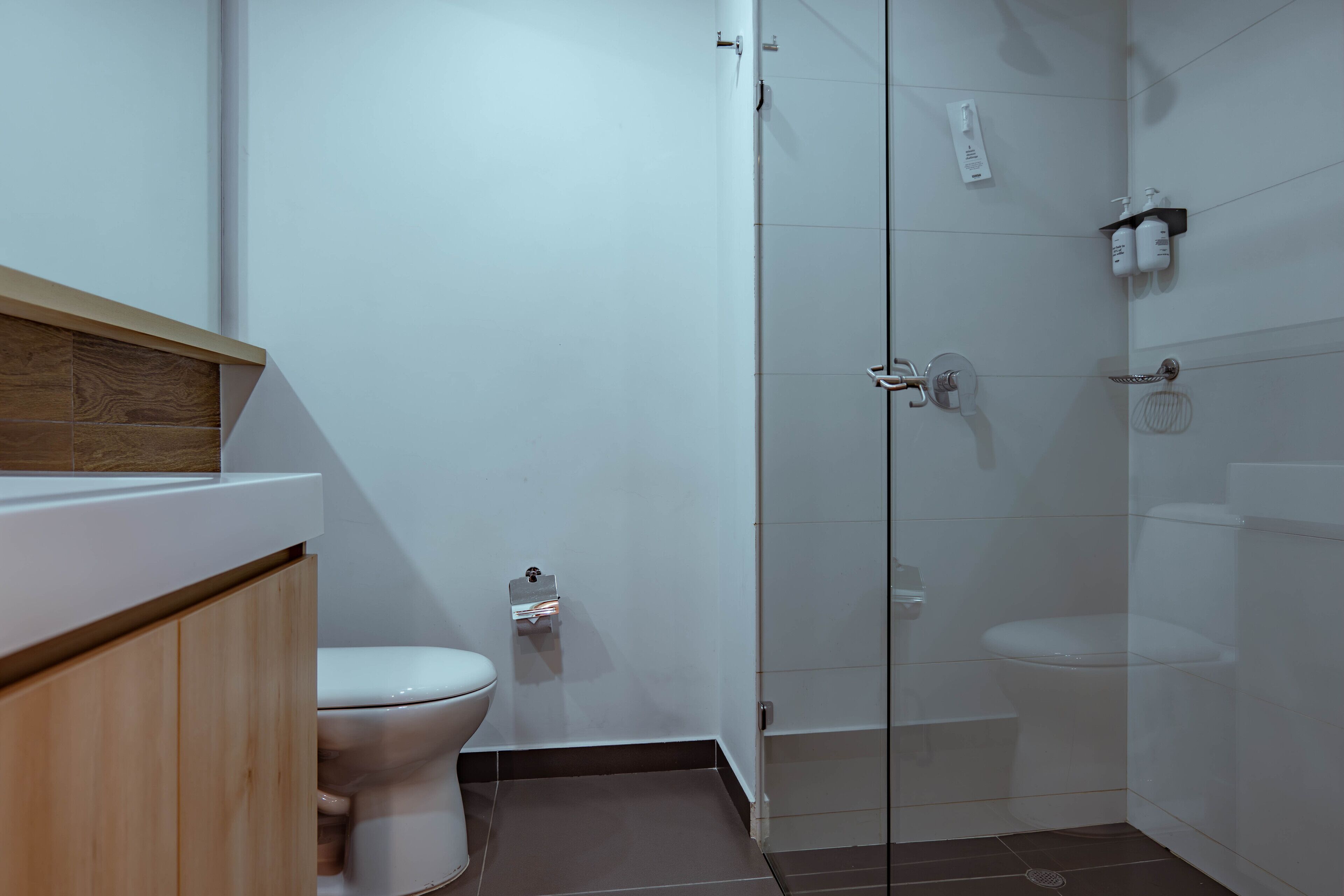 Premium Room | Bathroom | Rainfall showerhead, hair dryer (on request), towels, soap