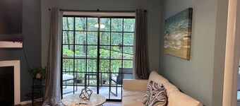 A cozy well furnished centrally located condo