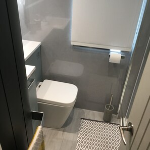 Shower, hair dryer, towels, toilet paper