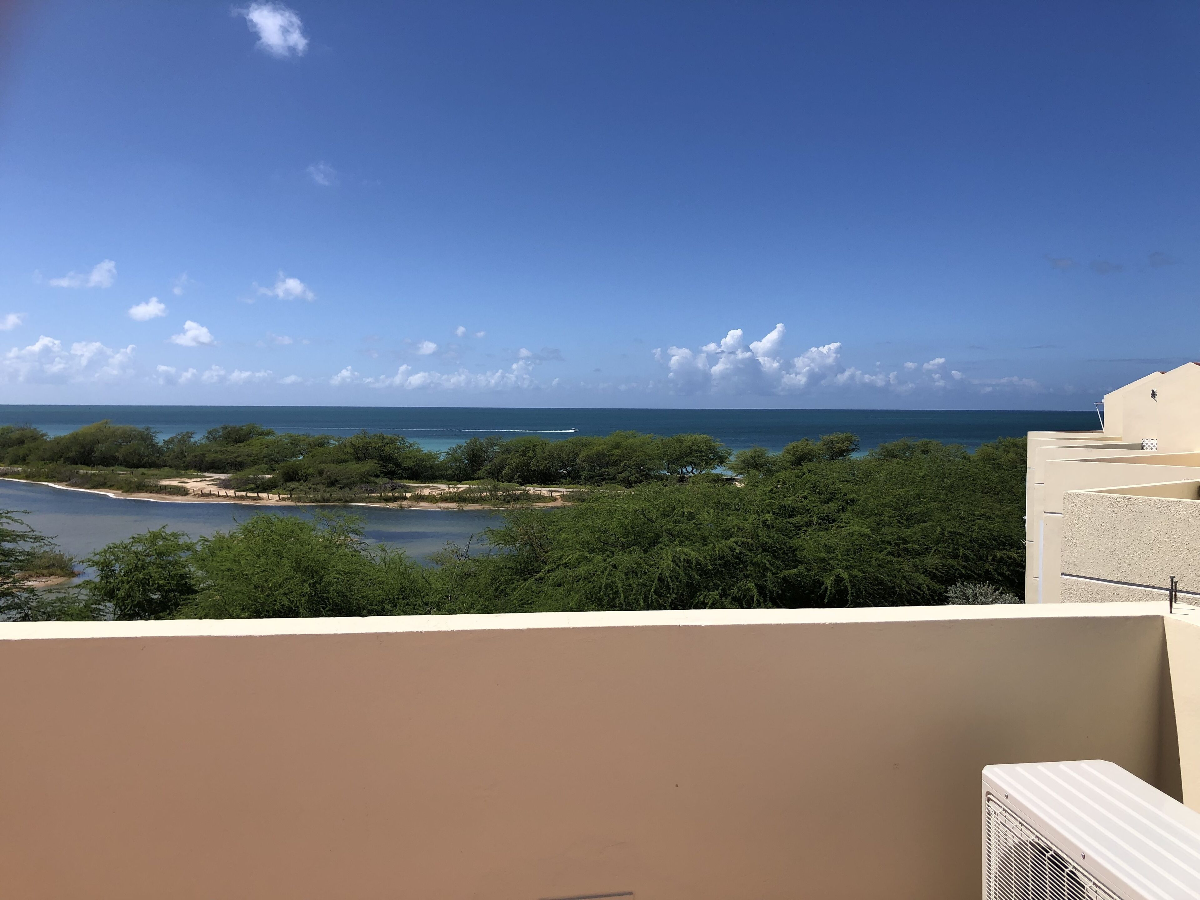 A balcony with a view of the sea and greenery.
