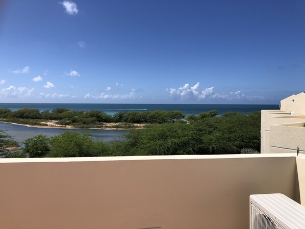 A balcony with a view of the sea and greenery.