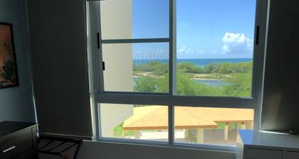 Stunning views from private terrace, full A/C, WiFi, walk to beach