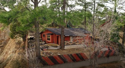 Rustic Cabin Bordering the Pines, Less than 1mi to DT Square