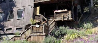 Tiny Treehouse