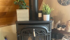 Una estufa de leña con chimenea negra, una planta en maceta y un estante con zapatos.