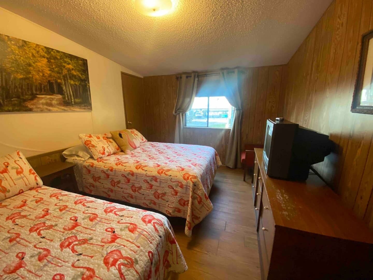 1 bedroom, Internet