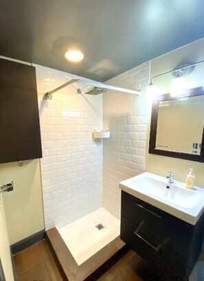 Shower, towels, toilet paper