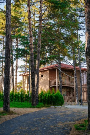 Property grounds - Zuzumbo Resort & SPA (Telavi)