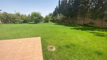 Property grounds