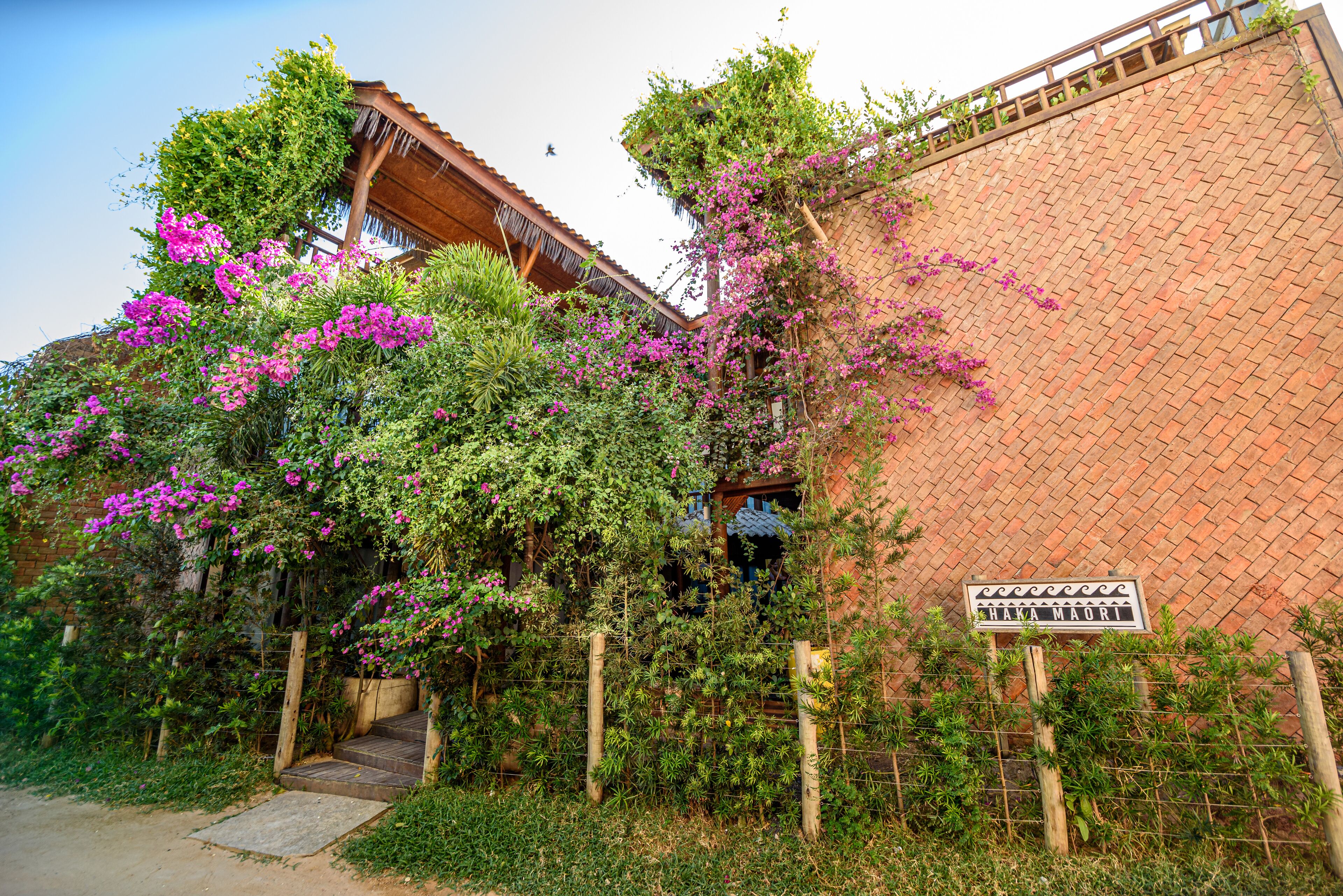 Foto - Haka Maori Jericoacoara