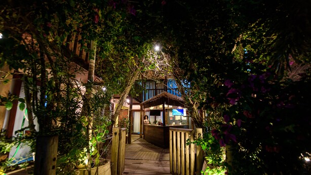 A wooden pathway leading to a bar area surrounded by lush greenery and plants. - Haka Maori Jericoacoara (Jijoca de Jericoacoara)