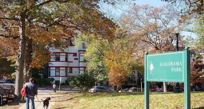 Dupont/Kalorama-Entire Unit w/Parking Pass, W/D, WiFi, Kitchen