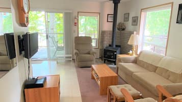 Een televisie, een open haard, videogames en een dvd-speler