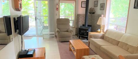 TV, fireplace, video games, DVD player